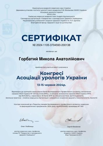 Горбатий Микола Анатолійович Сертифікат 2024 1105 3704593 200138-1